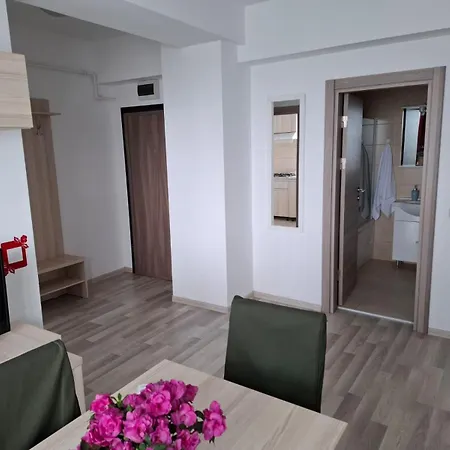 Cu Terasa Si Vedere, Nord, Zona Summerland דירה